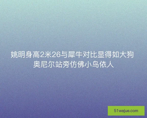 姚明身高2米26与犀牛对比显得如大狗 奥尼尔站旁仿佛小鸟依人